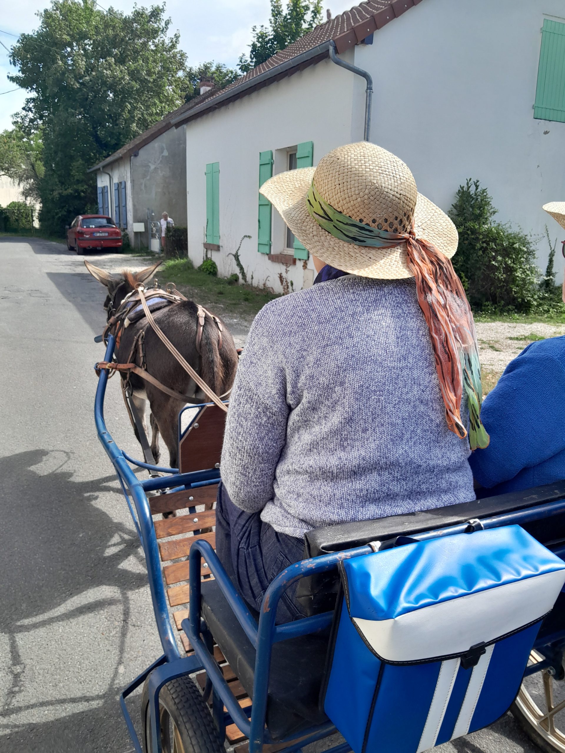 L'attelage avec des ânes