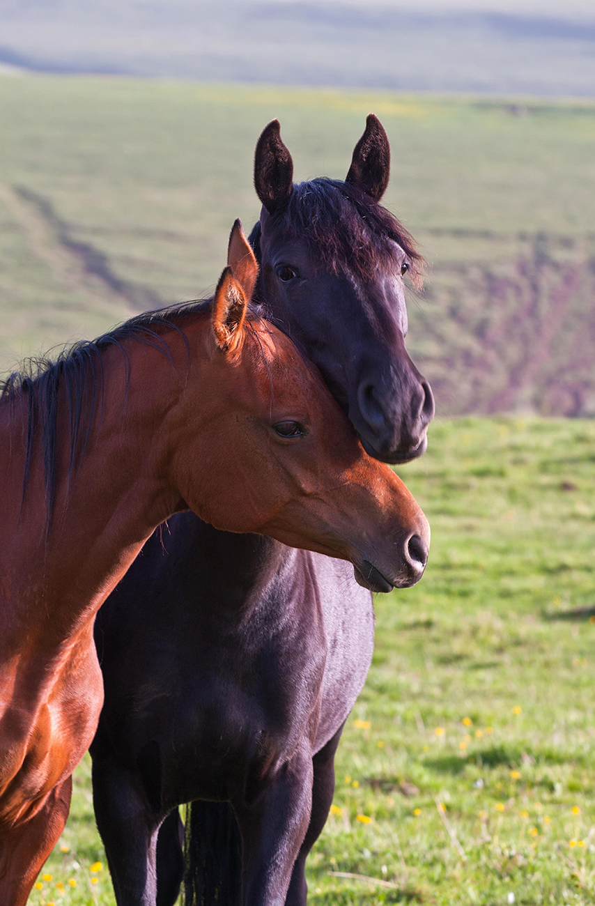 Prise en charge individuelle