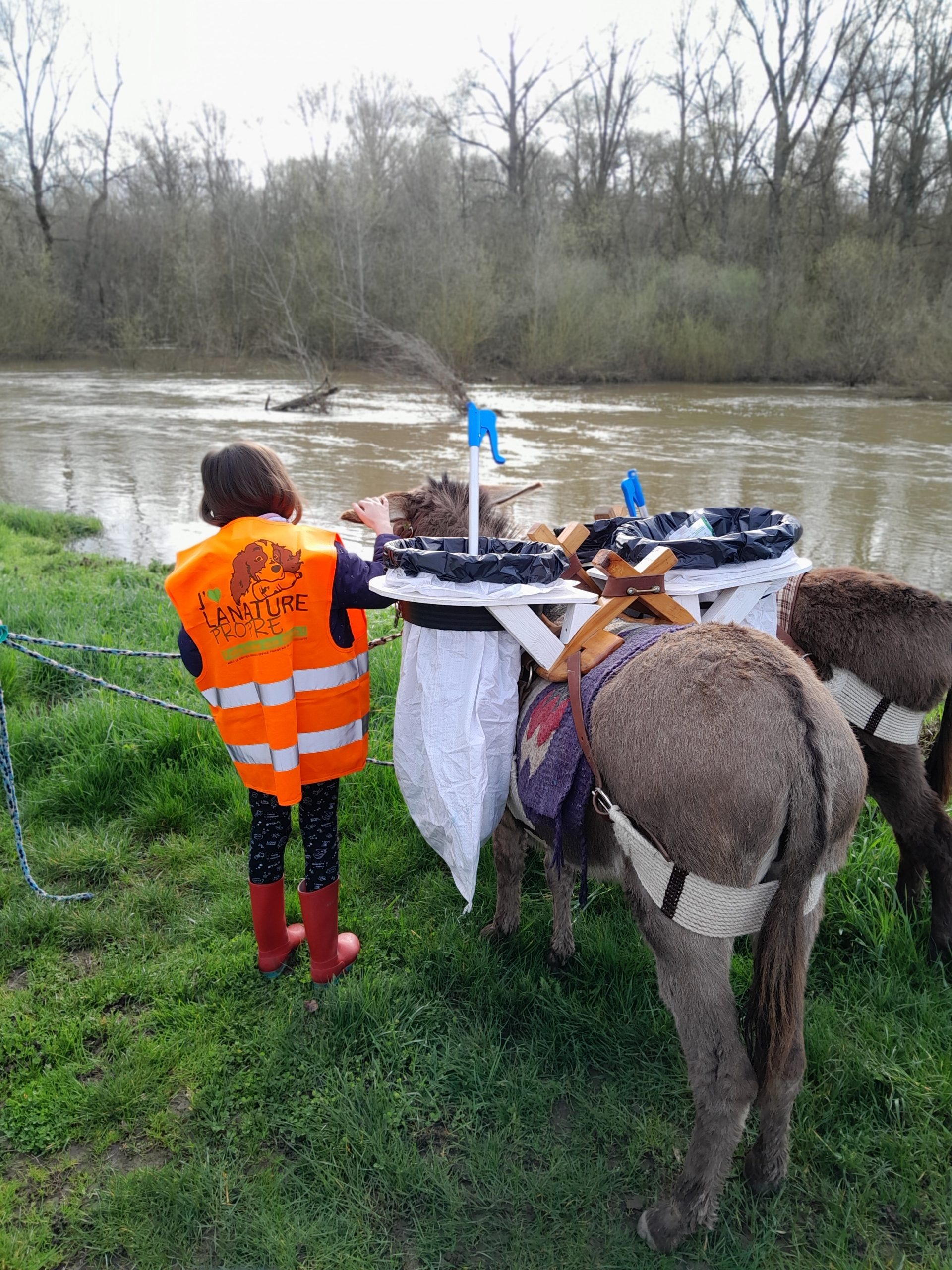 Ramassage des déchets avec ânes
